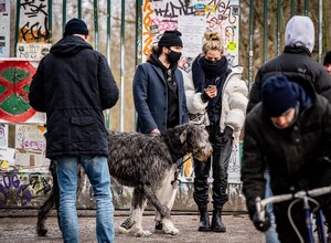        klu180121BZNimage8.jpg