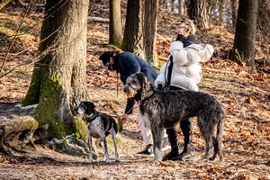        klu180121BZNimage10.jpg