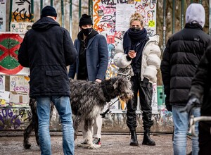        klu180121BZNimage6.jpg