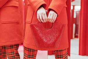 amalie-schimdt-red-11.jpg