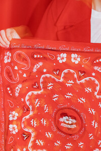 amalie-schimdt-red-26.jpg