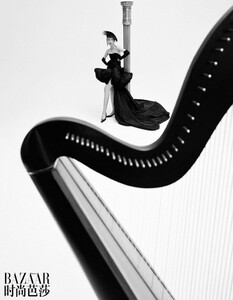 1440791-800w.jpg