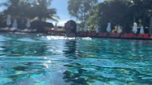 1715315791_ezgif.com-gif-maker(22).thumb.gif.f6c660c00296fc937450472634c5937c.gif