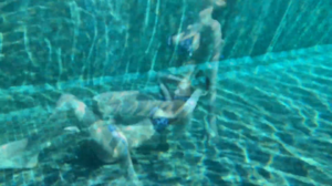 24 uershoot op Mauritius-00.01.30.516.png