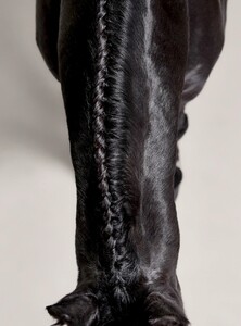 town and country 03.21 esme-page-009.jpg