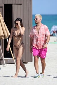        ham130221BZNimage120.jpg