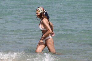        ham140221BZNimage114.jpg