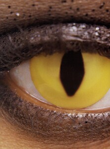 Animal_Penn_US_Vogue_March_1992_01.thumb.jpg.0cd4246cdc5ac3efa7900ce8aa482e5b.jpg