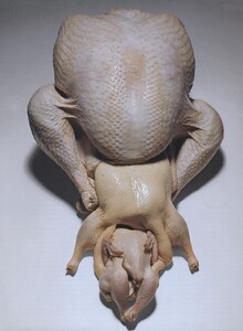 Birds_Penn_US_Vogue_December_1999_02.thumb.jpg.9eba1c37f9021f1647d6d187e0744f96.jpg
