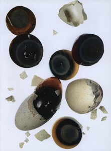 Egg_Penn_US_Vogue_May_2003_02.thumb.jpg.7d8958fc0ef40e6c0ffd8e39ae0af0ec.jpg