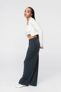 grey-the-pleat-is-on-high-waisted-wide-leg-pants.jpeg
