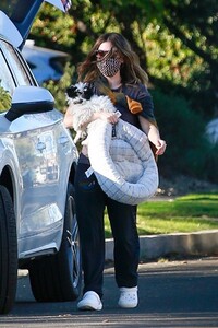 rachel-bilson-out-with-her-dog-in-los-angeles-02-21-2021-4.jpg