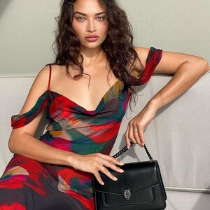 shaninamshaik_2021.2.16_nzkm7g.jpg