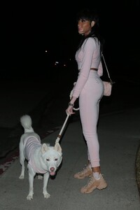 winnie-harlow-stroll-with-her-dog-in-la-02-01-2021-1.jpg