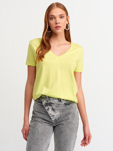 101a03470_lime-3.jpg