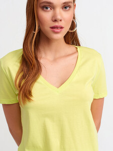 101a03470_lime.jpg