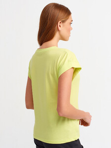 101a03504_lime-1.jpg