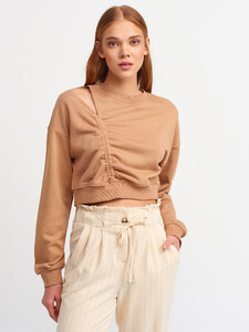 101a03635_koyucamel.jpg