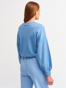 101a03658_indigo-1.jpg