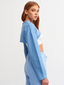 101a03659_indigo-1.jpg
