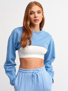 101a03659_indigo.jpg