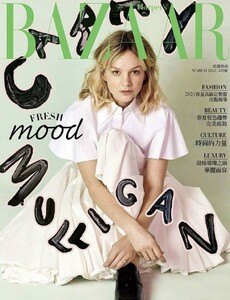 Bazaar Taiwan 321.jpg