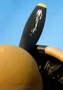 1473719-800w.jpg