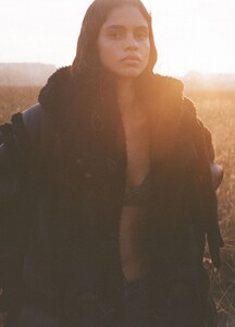 1473721-800w.jpg