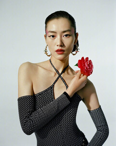        liu060321BZNimage108.jpg