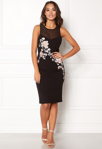 new-look-go-prem-mesh-insert-dress-black-pattern_1.jpg