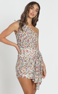 twoofusdressinmultifloral3.jpg