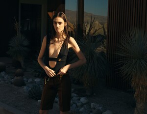 davidstevenwilton.com img68.jpg