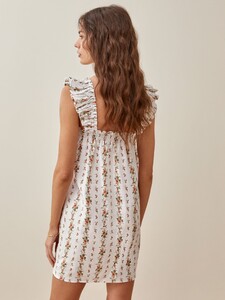 albany-dress-poppyseed-3.jpeg