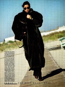 329606691_VogueUSArthurElgortSableTheBestoftheBest(3).thumb.jpg.133c17aaa247aca19b75e08964216cb0.jpg