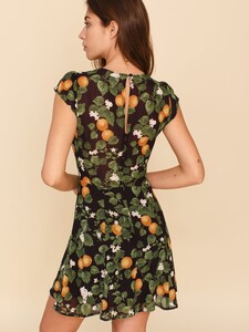 deven-dress-clementine-3.jpeg