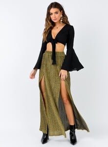 we-run-the-night-maxi-skirt-gold-2_121_337_1800x.jpeg