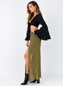 we-run-the-night-maxi-skirt-gold-3_118_334_1800x.jpeg