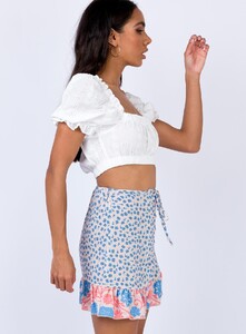 yarrow-mini-skirt-3_141_106_1800x.jpeg