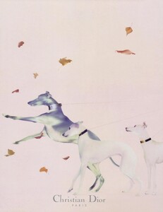 Knight_Dior_Fall_Winter_1997_98_09.thumb.jpg.05deb38224d6c4c2918a9cac2acf1efa.jpg