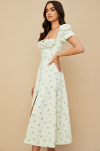 tallulah-8.jpg