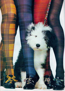 746505452_ClashoftheTartansDollyMagazineFebruary1985TraceyHook(3).thumb.jpeg.4584ad54f6c4524b1dda94fb028040d5.jpeg