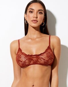 MOLLY-BRALETTE-_-EVELYN-BRIEF--LACE-PICANTE-92554-EDITED_1600x.progressive.thumb.jpg.d2483ee32cd56bcd39c6cf2ba9fbe0ec.jpg