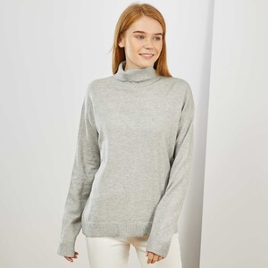 pull-a-col-roule-gris-chine-clair-femme-wy630_13_zc4.jpg