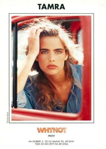Tamra Van Cleve