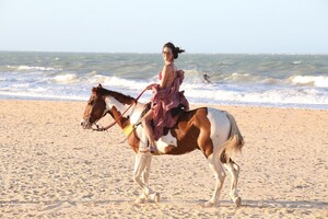       ale050821BZNimage115.jpg