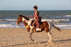       ale050821BZNimage148.jpg
