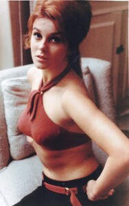 Ann Margret - orange tube top.jpg