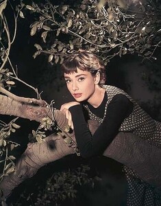 AudreyHepburn2456794567765435677654234567976543234567.thumb.jpg.da5d19267d03ed0619261ebcbf9fa4a4.jpg