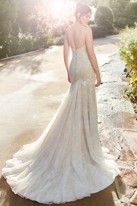BE551-Back_1200x1800.jpg