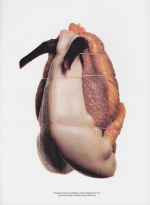 Penn_US_Vogue_December_1993_04.thumb.jpg.8815554cff6131e894fc3c5412a59249.jpg